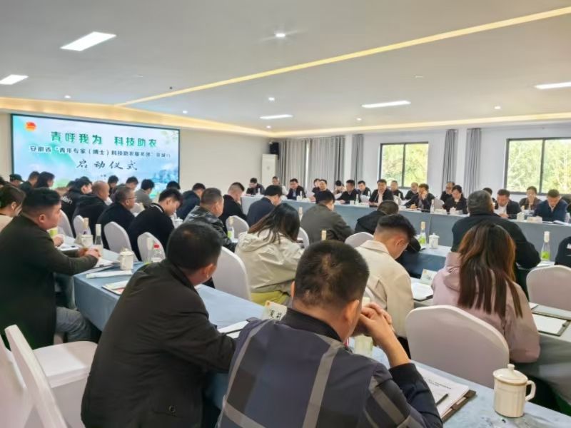 1761645269410085883.jpg 鍥�1.jpg