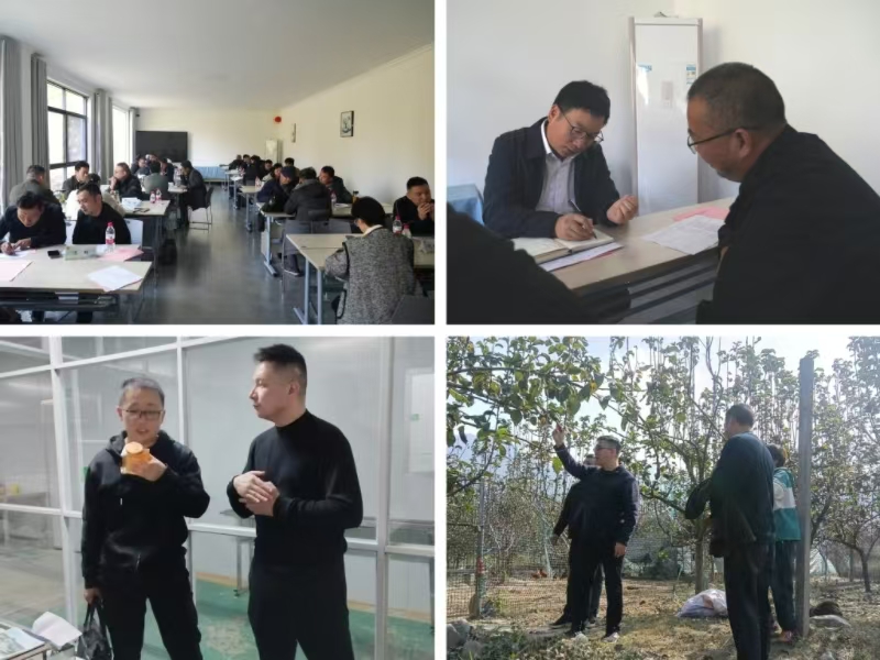 1761645294907016163.jpg 鍥�2.jpg