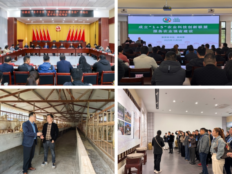 1762498040265022894.png 鍥剧墖1.png