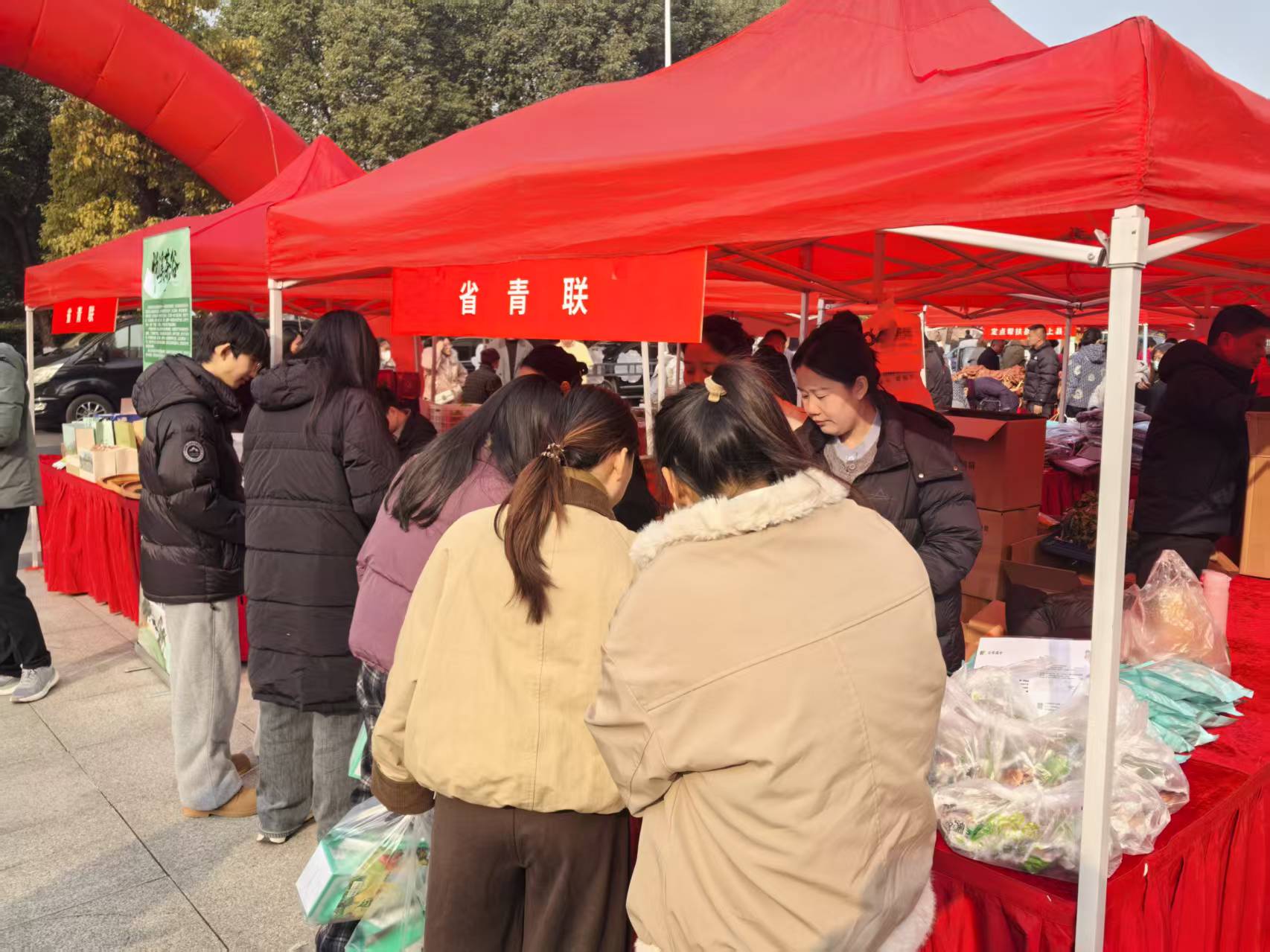 1767142214543082273.jpg ce9825db6c11c4c8312a5a1ecb885ba0.jpg