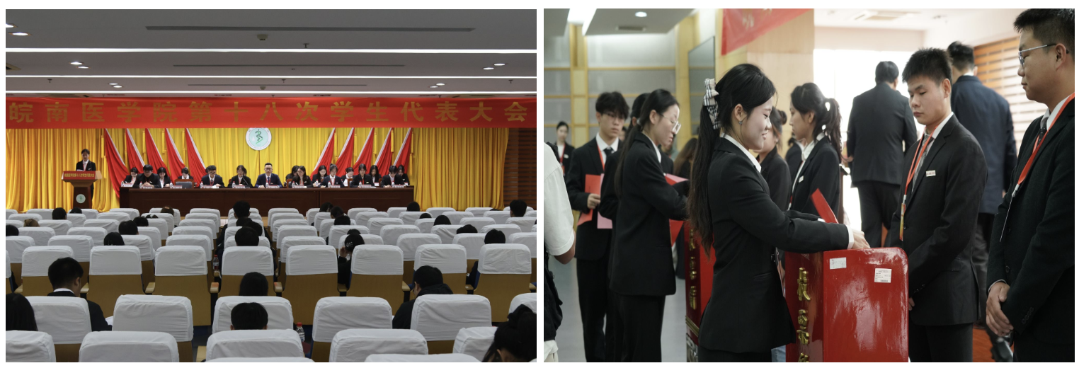 1763521330685038508.png 4.2.png