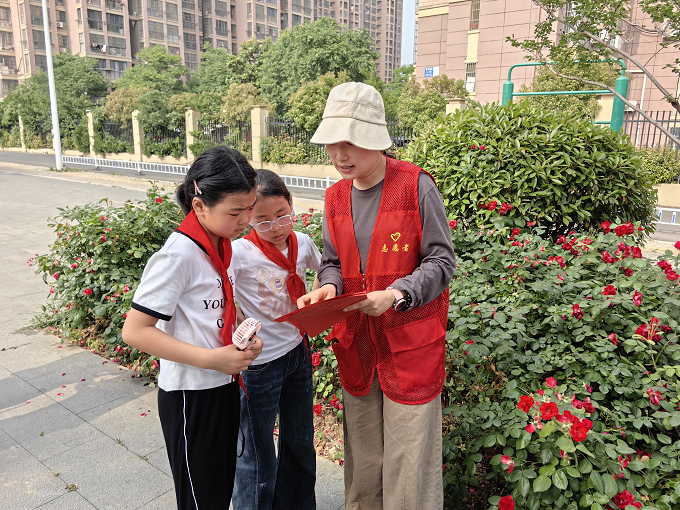 1778835484498086590.png 鍥剧墖3.png